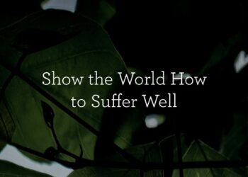 Present the World Learn how to Undergo Properly