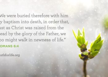 Wallpaper: Buried By Baptism