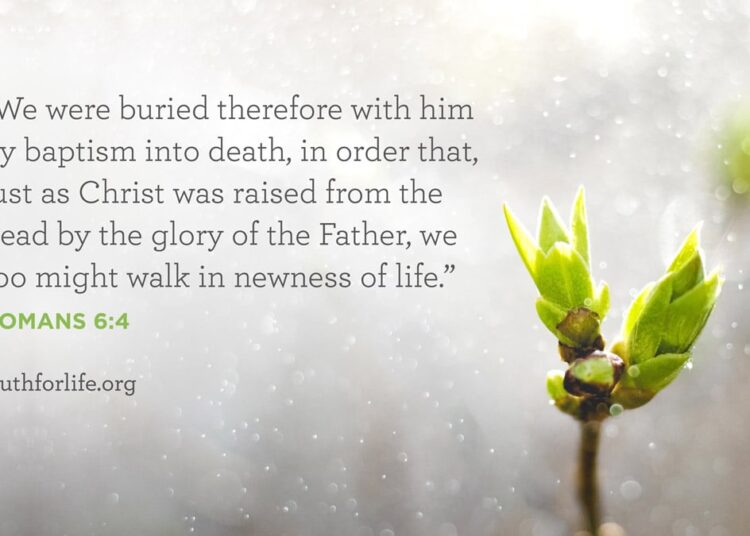 Wallpaper: Buried By Baptism