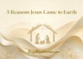 5 Causes Jesus Got here to Earth- Why We Rejoice His Delivery –