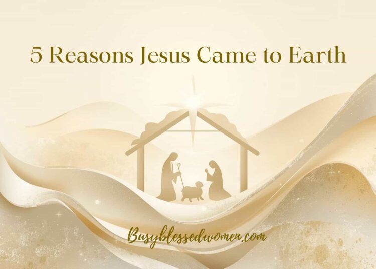 5 Causes Jesus Got here to Earth- Why We Rejoice His Delivery –