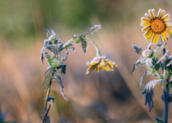 5 Indicators of Useless Religion