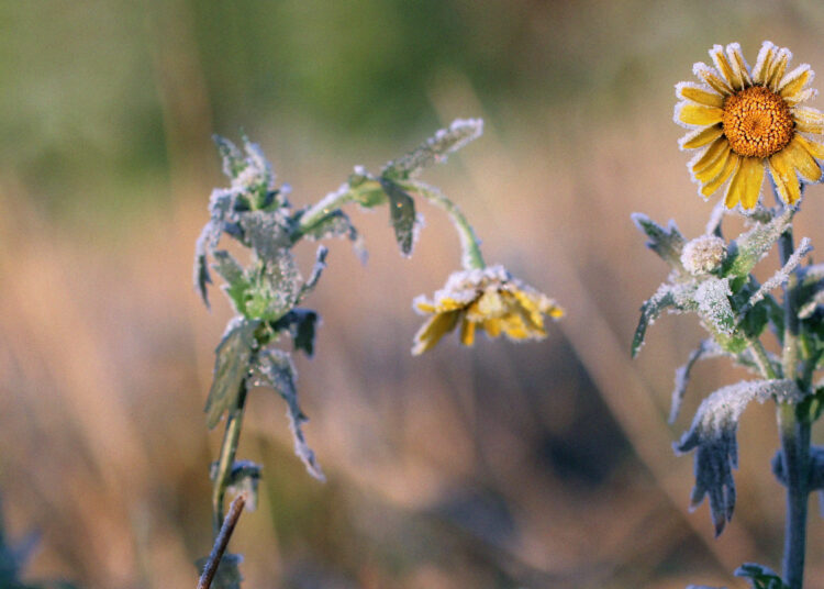 5 Indicators of Useless Religion