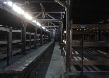 Grateful for the Fleas | Church & Tradition