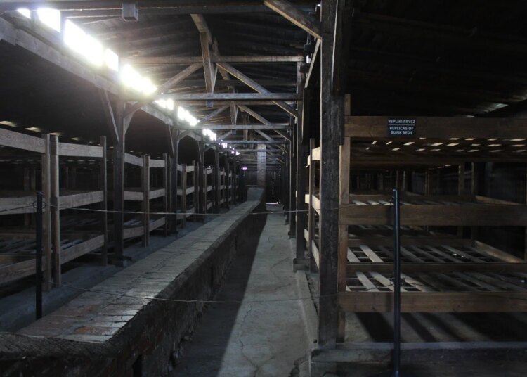 Grateful for the Fleas | Church & Tradition