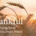Grateful:Unchanging Fact for an Unsure World