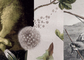 The Two Peculiar Acts of the Father within the Work of Redemption