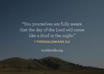 Wallpaper: Thief within the Evening