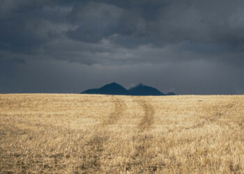 The way to Reply to Temptation