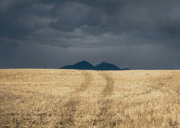 The way to Reply to Temptation