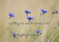 Letting Go and Trusting God –