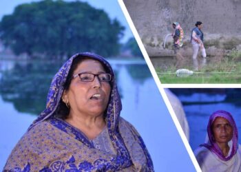 Punjab’s Worst Flood in Historical past: Authorities Abandons the Unvoiced, ECSPE Steps Ahead