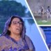 Punjab’s Worst Flood in Historical past: Authorities Abandons the Unvoiced, ECSPE Steps Ahead