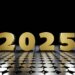 The 12 months 2025 in Evaluation