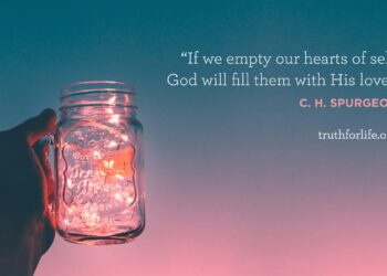 Wallpaper: Stuffed With His Love