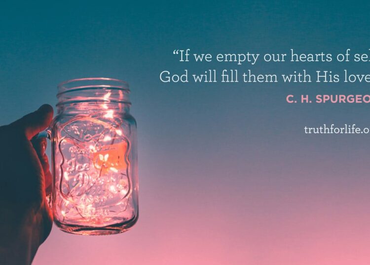 Wallpaper: Stuffed With His Love