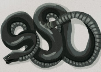 How Genesis Prophesied Jesus’s Defeat of Devil