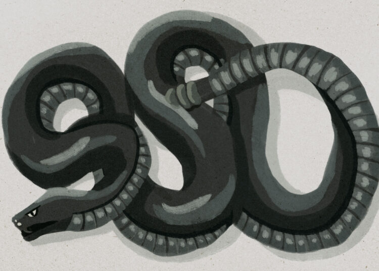 How Genesis Prophesied Jesus’s Defeat of Devil