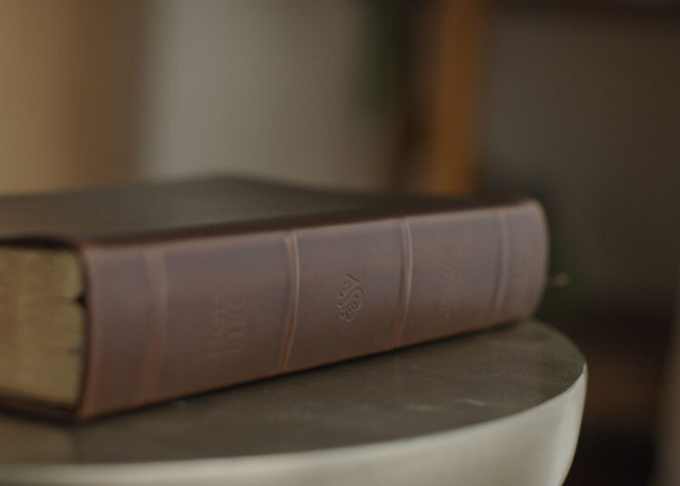 Assets to Assist You Meditate on Scripture in 2026