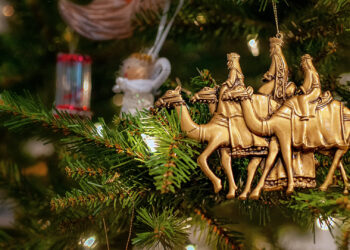 What Many Get Completely Incorrect In regards to the ‘Three Kings,’ Biblical Particulars Surrounding Jesus’ Beginning