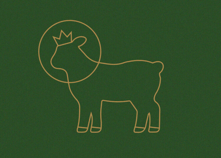 The Keen Humiliation and Nice Exaltation of the Son