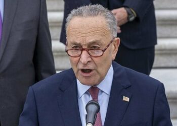 Schumer Vows to Reverse DOGE Cuts