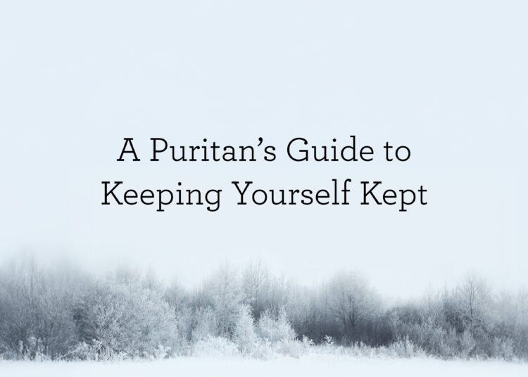A Puritan’s Information to Retaining Your self Stored