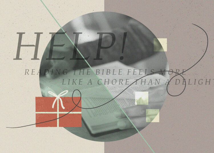 Assist! Studying the Bible Feels Extra Like a Chore Than a Delight