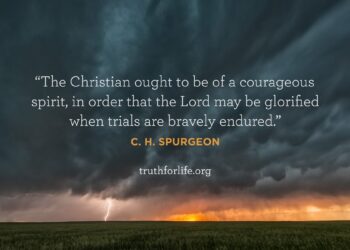 Wallpaper: Brave Spirit