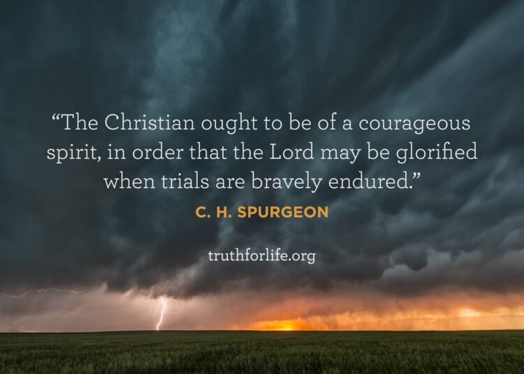 Wallpaper: Brave Spirit