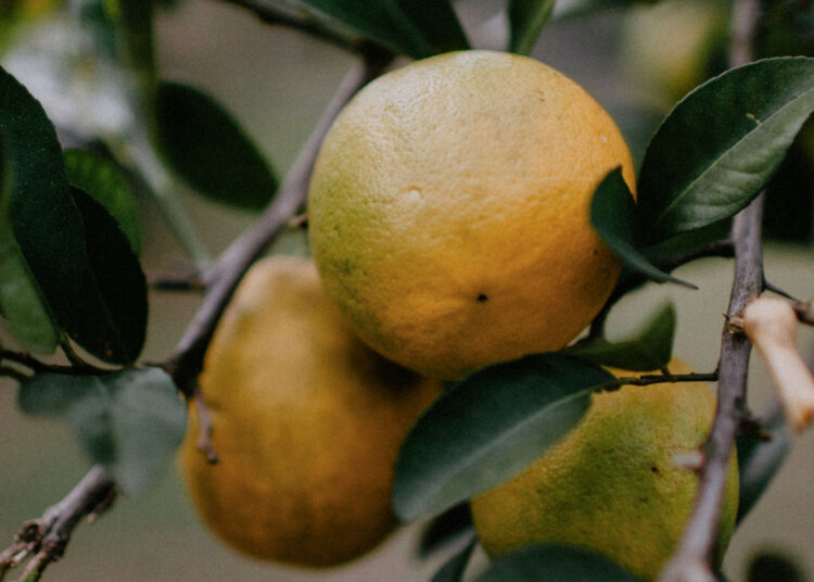 What Does It Imply for Worship Music to Be “Good”?