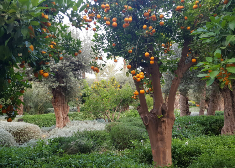 What the fashionable environmental narrative will get unsuitable