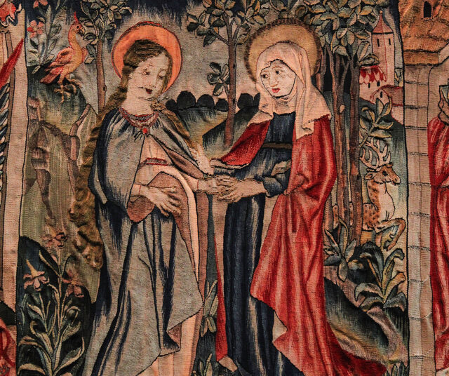 Pleasure By means of the Valleys—Studying with Mary within the Joyful Mysteries