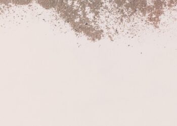 Ash Wednesday Service – Nonetheless Waters