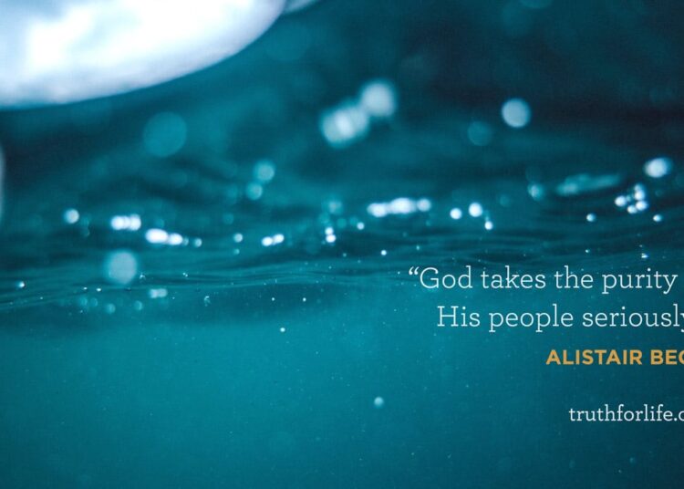 Wallpaper: Purity of His Individuals