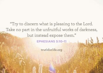 Wallpaper: Discern What’s Pleasing