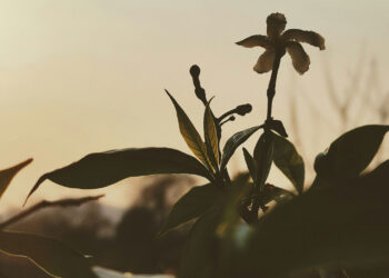 A Poem for These Whose Religion Feels Stale