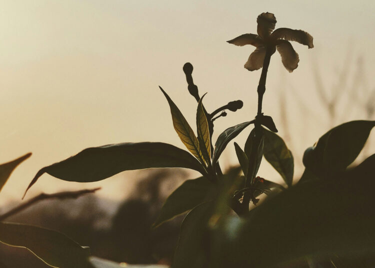 A Poem for These Whose Religion Feels Stale