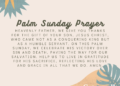 Palm Sunday Prayers to Rejoice “Hosanna! Blessed is the Lord”