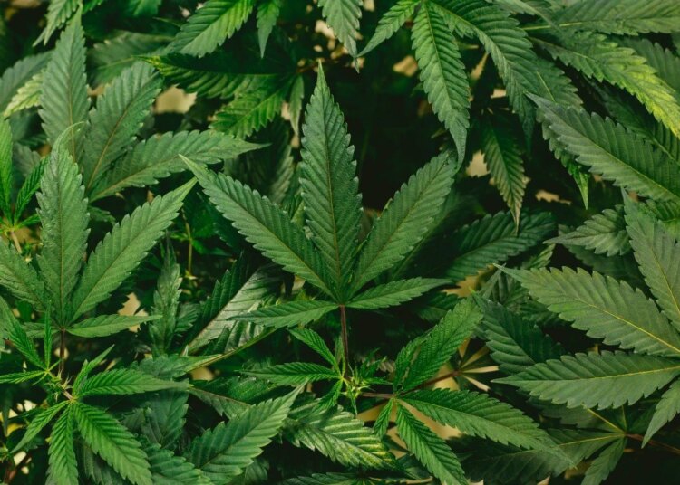 Much less Consuming, Extra Toking | Church & Tradition