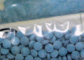 Do not Be Fooled: Lethal Fentanyl-Laced Tablets Look Simply Just like the Actual Ones