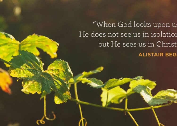 Wallpaper: In Christ