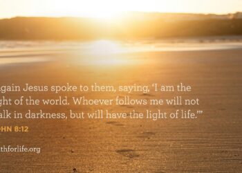 Wallpaper: Gentle Of Life