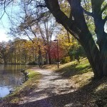 Worship Chief Devotional “Going Deeper”: Discovering Stillness