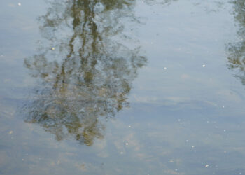 Why Jesus Wanted to Be Baptized