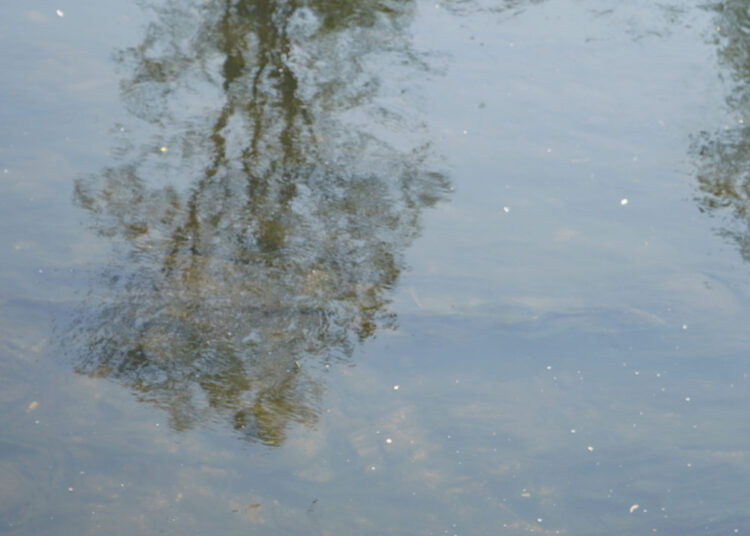 Why Jesus Wanted to Be Baptized