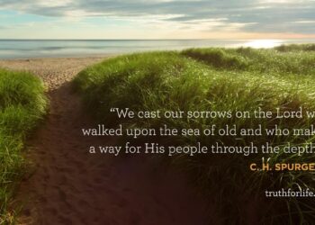 Wallpaper: Forged Our Sorrows