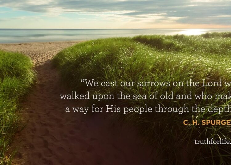 Wallpaper: Forged Our Sorrows