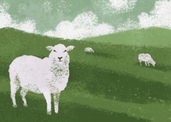 12 Causes Why Correcting with Gentleness Is One of many Hardest Components of Pastoral Ministry