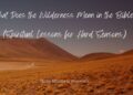 What Does the Wilderness Imply within the Bible? –